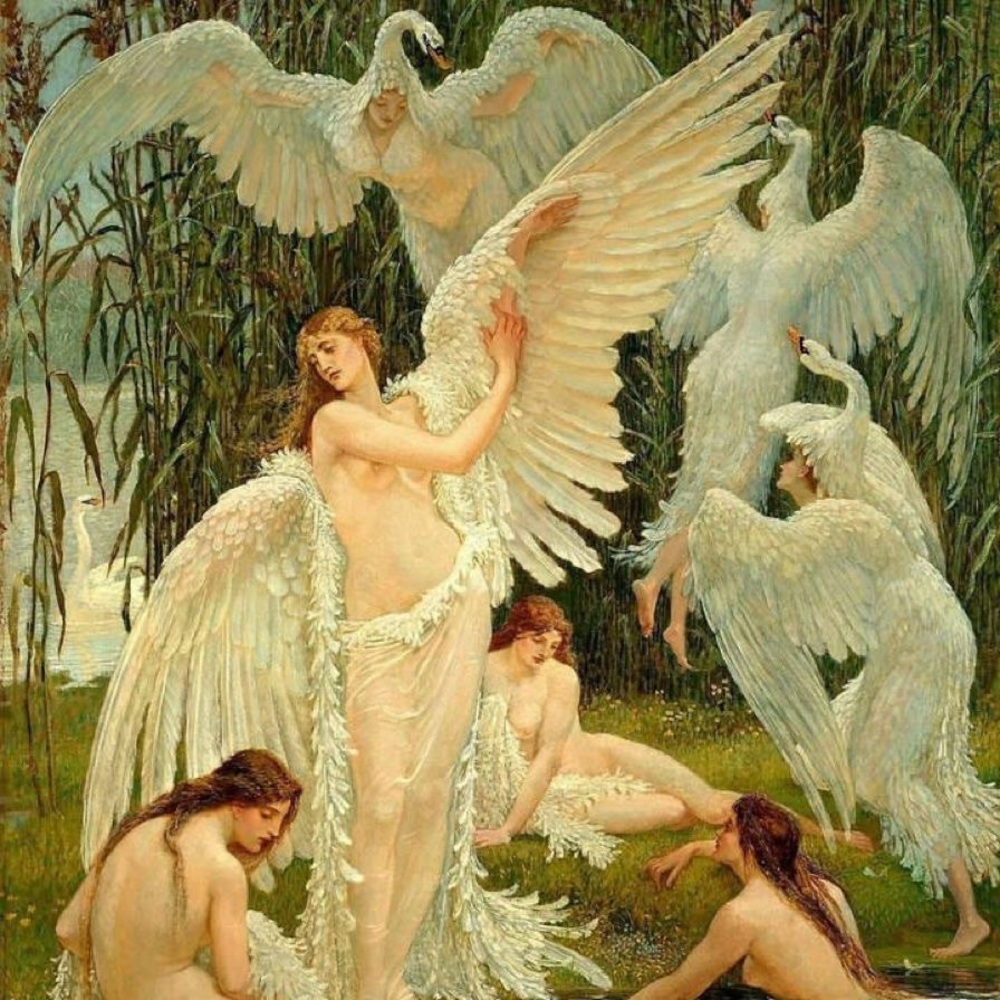 Meet your Posher, Jessieighkah